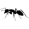 https://twitter.com/twitter